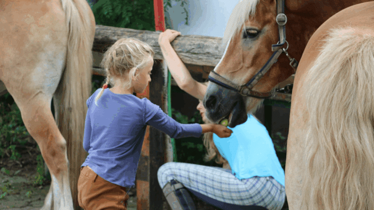 Reiten lernen