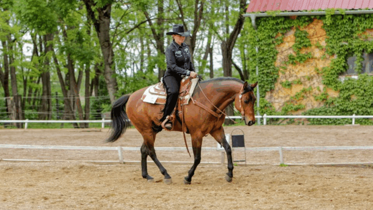 Westernreiten am Göghhof