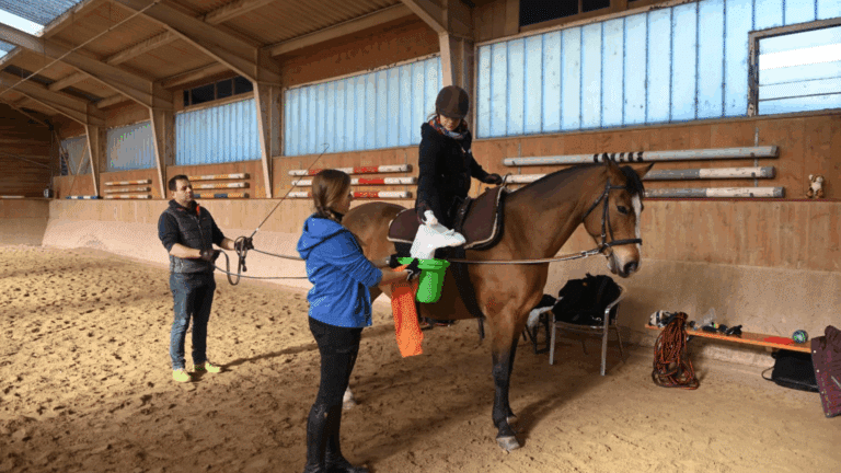integratives Reiten am Reiterhof Romy