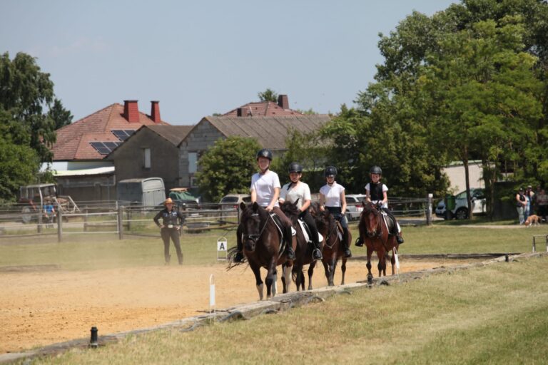 Reitcamp