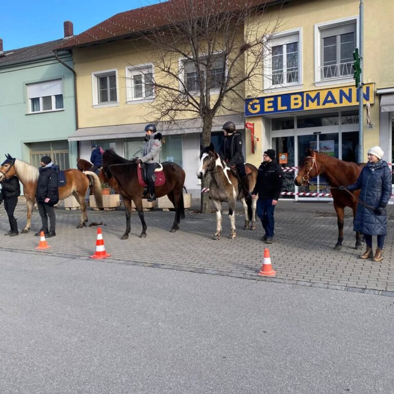 Pferdeweihe in Andau