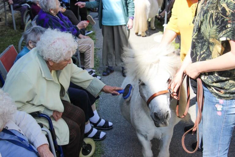 integratives Reiten für Senioren